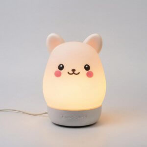 Сертификация ночников