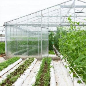 Сертификация теплиц