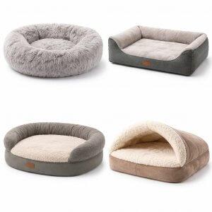 Сертификация лежанок для животных