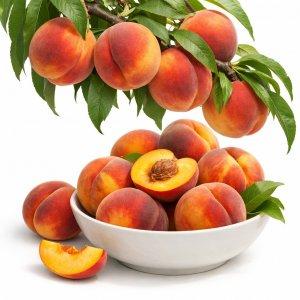 Сертификация персиков