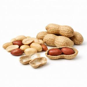 Сертификация арахиса