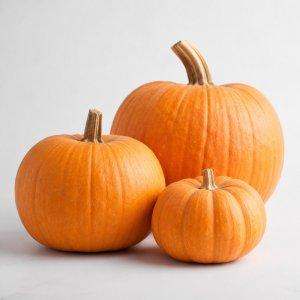 Сертификация тыквы